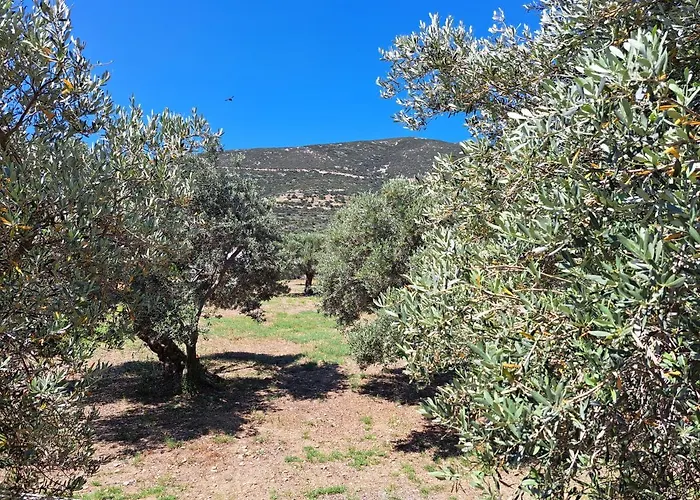 Madilides アパート Platis Gialos (Sifnos)